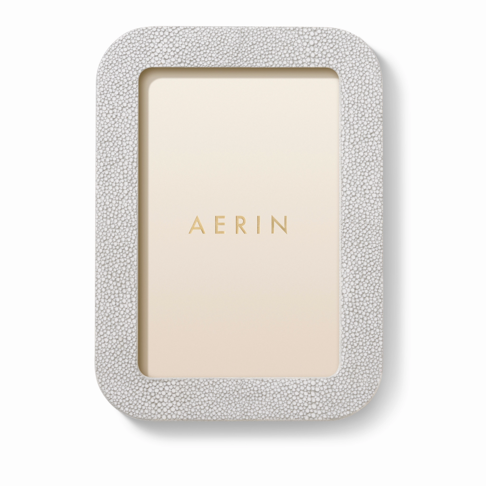 Modern Shagreen Frame