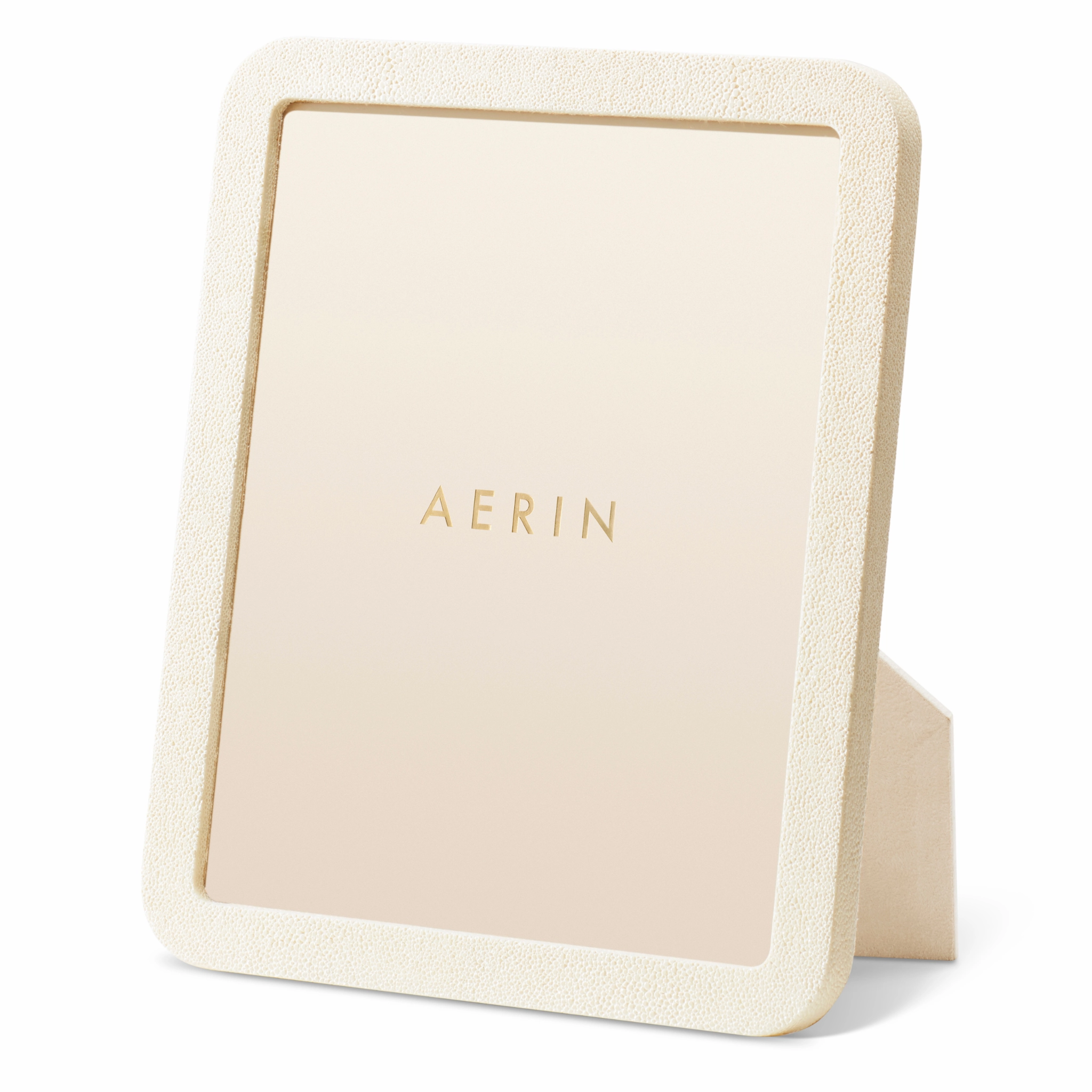 Modern Shagreen Frame