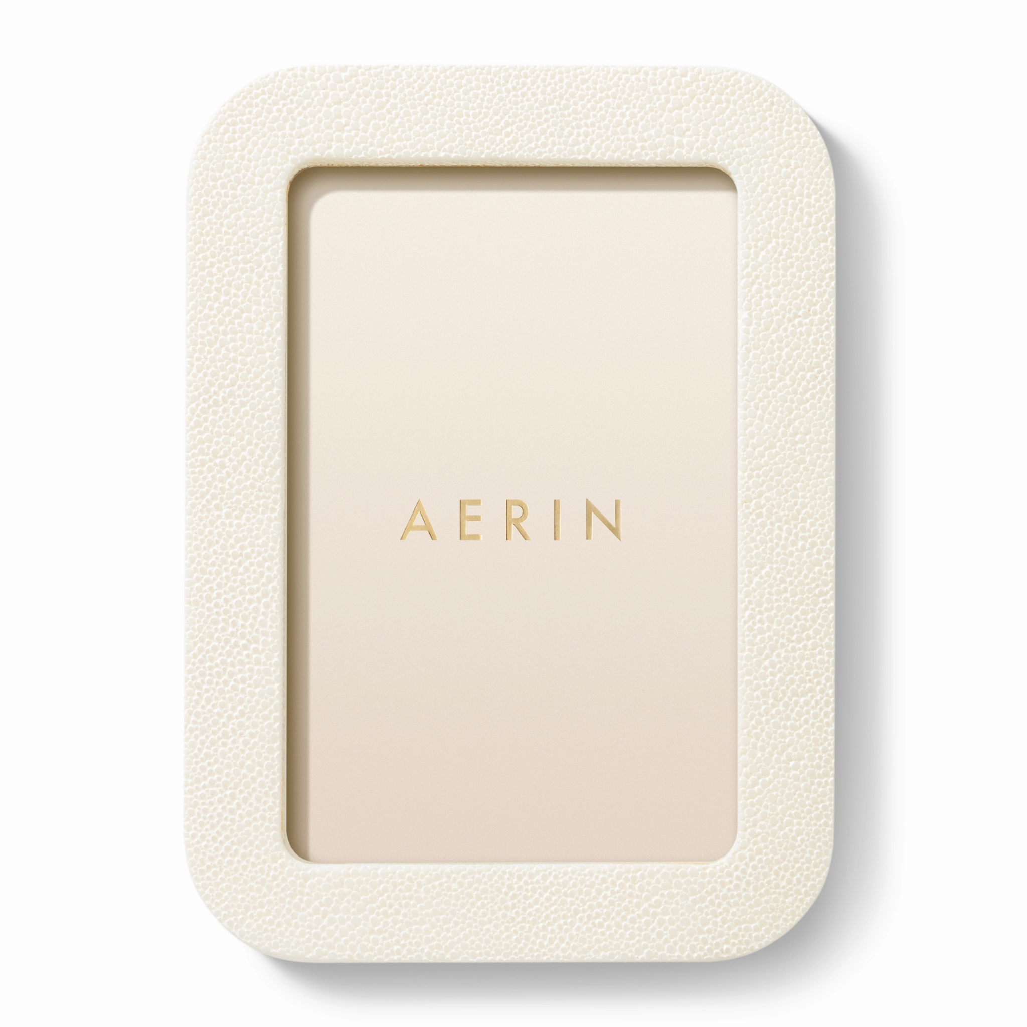 Modern Shagreen Frame