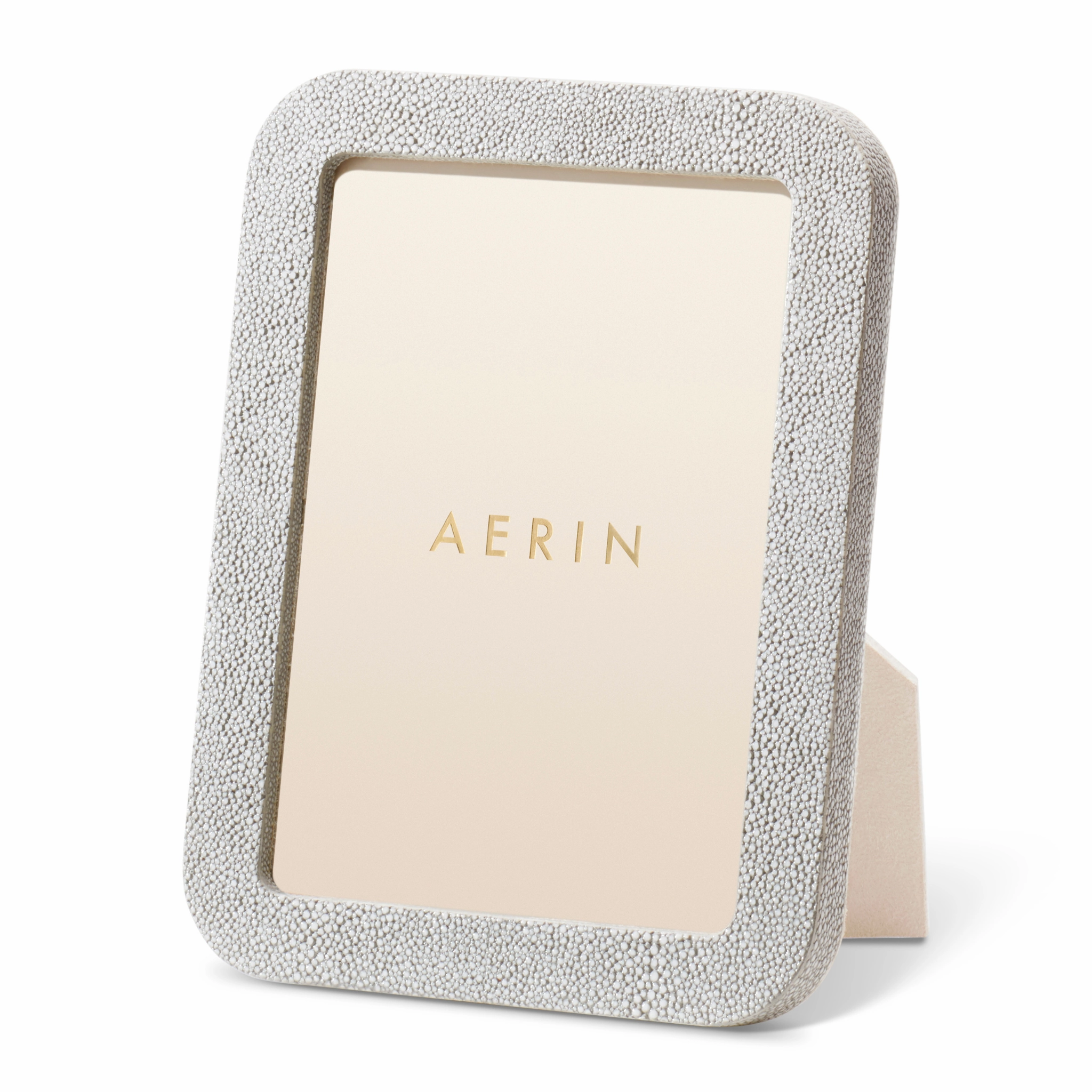 Modern Shagreen Frame