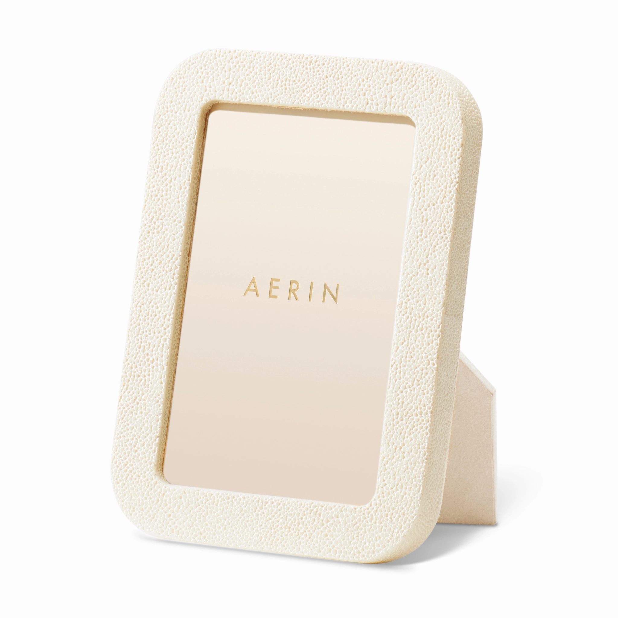 Modern Shagreen Frame