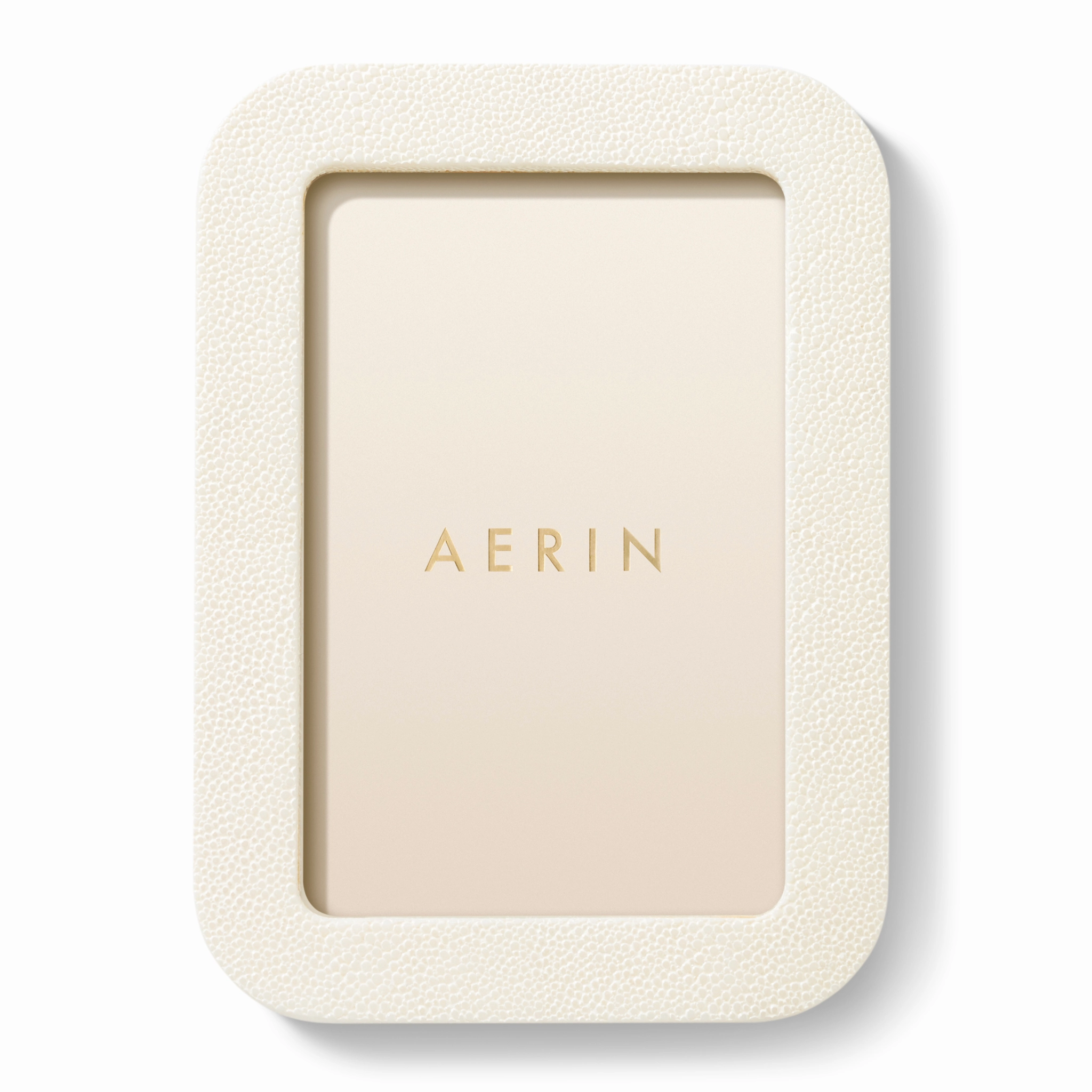 Modern Shagreen Frame
