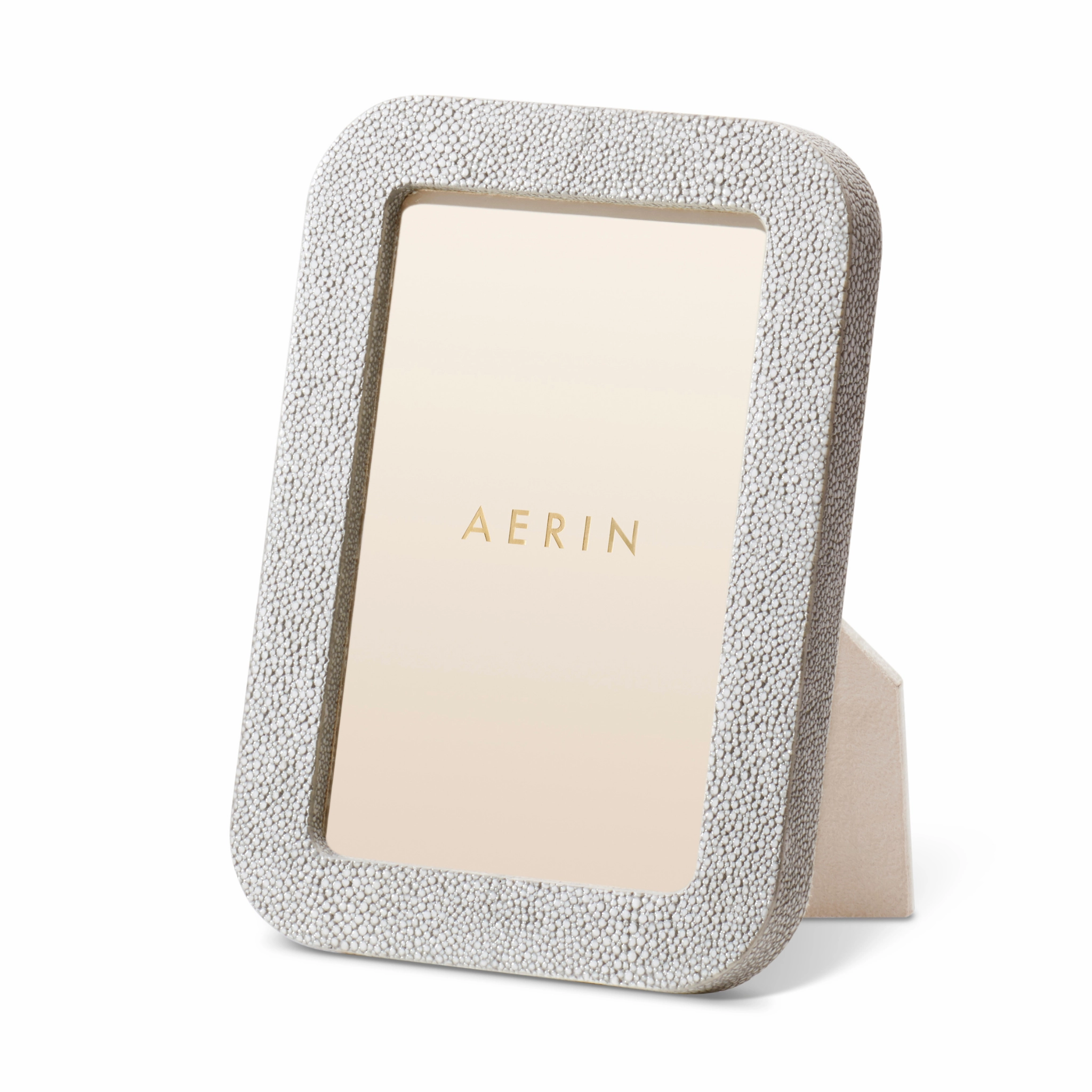 Modern Shagreen Frame