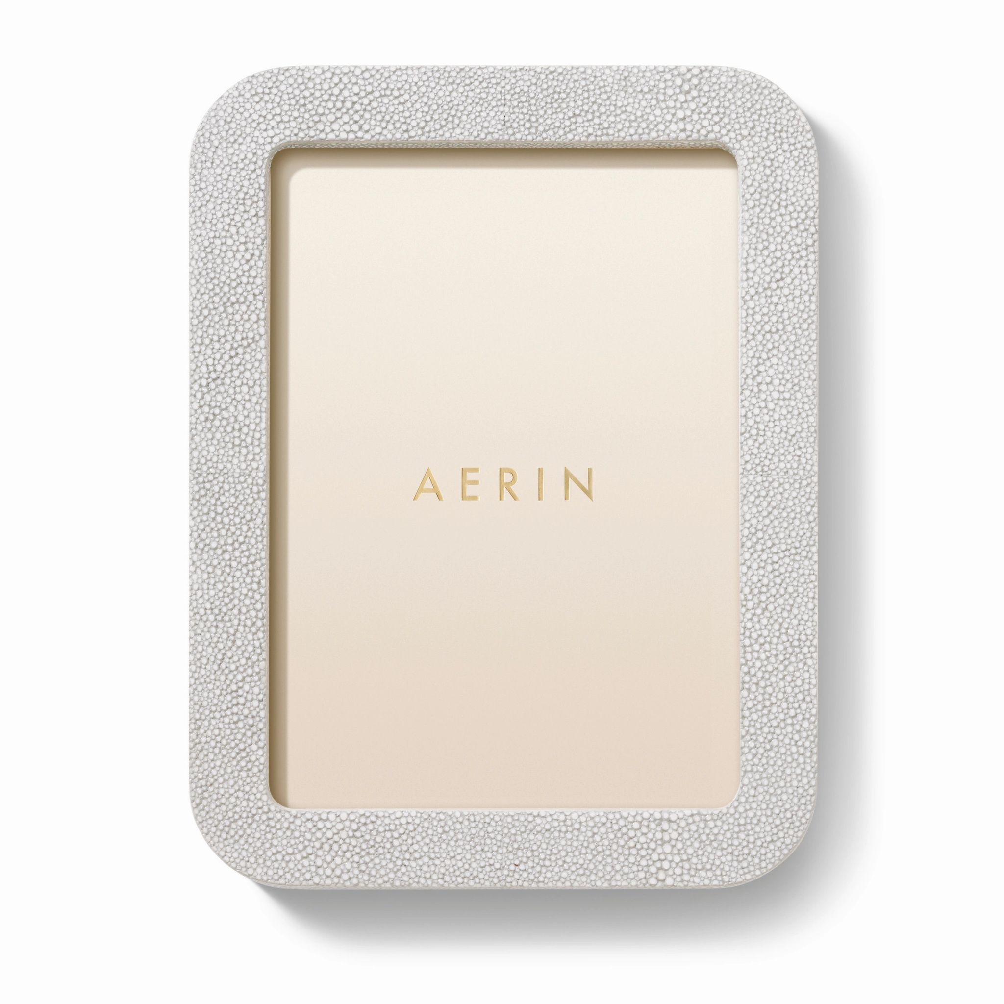 Modern Shagreen Frame