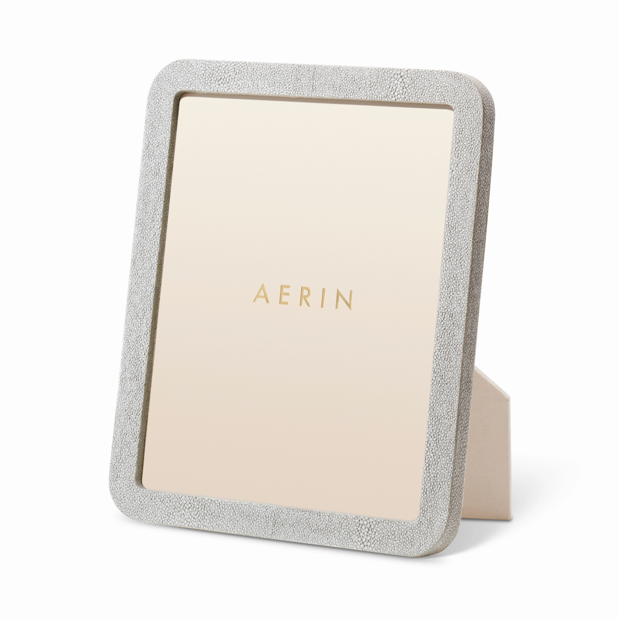 Modern Shagreen Frame