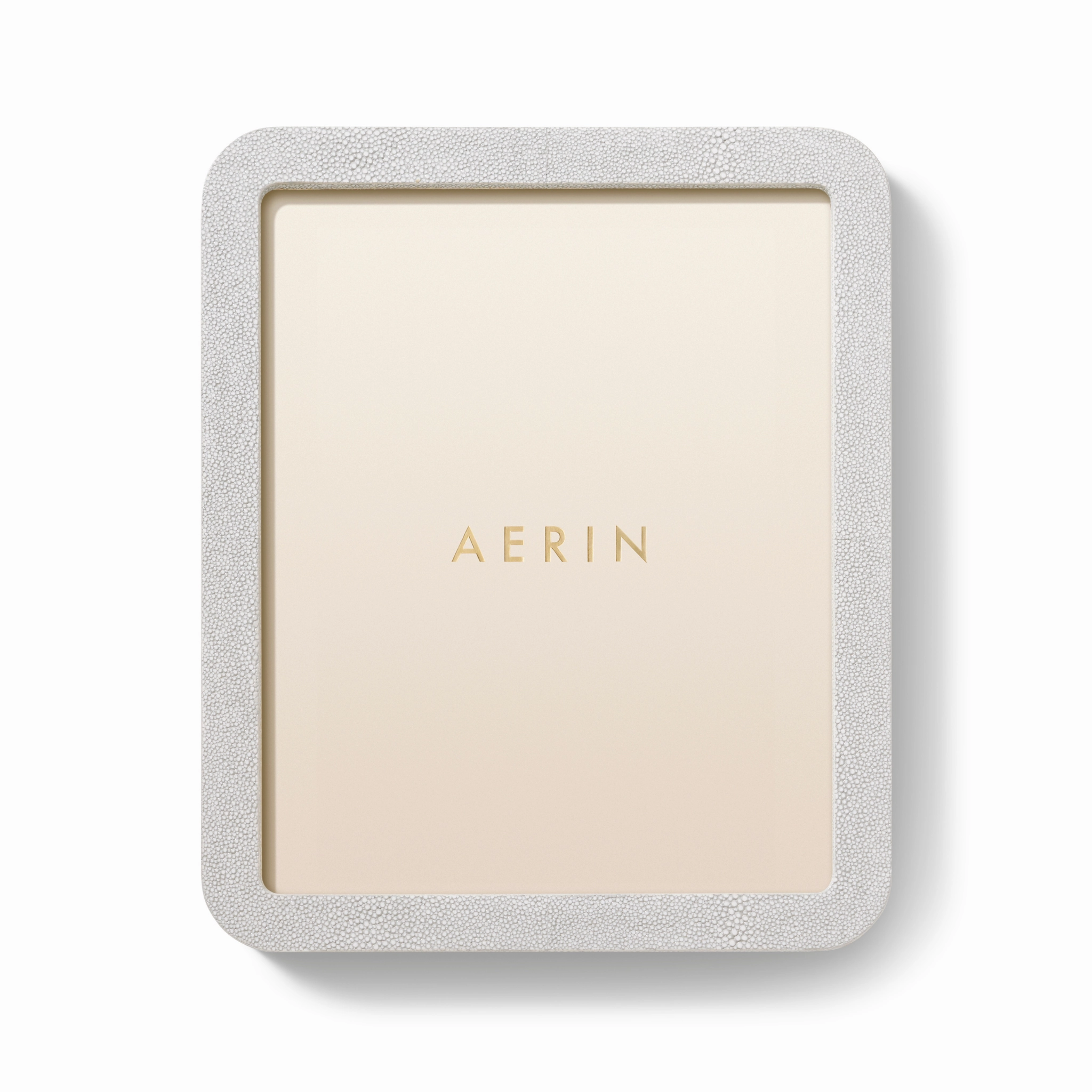 Modern Shagreen Frame