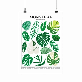 Monstera Species Id Chart - Botanical Houseplant Art Print framed wall decor