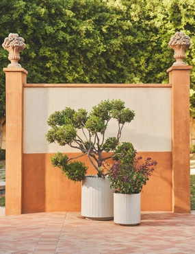 Mowry Indoor/Outdoor Planter decorative tabletop item