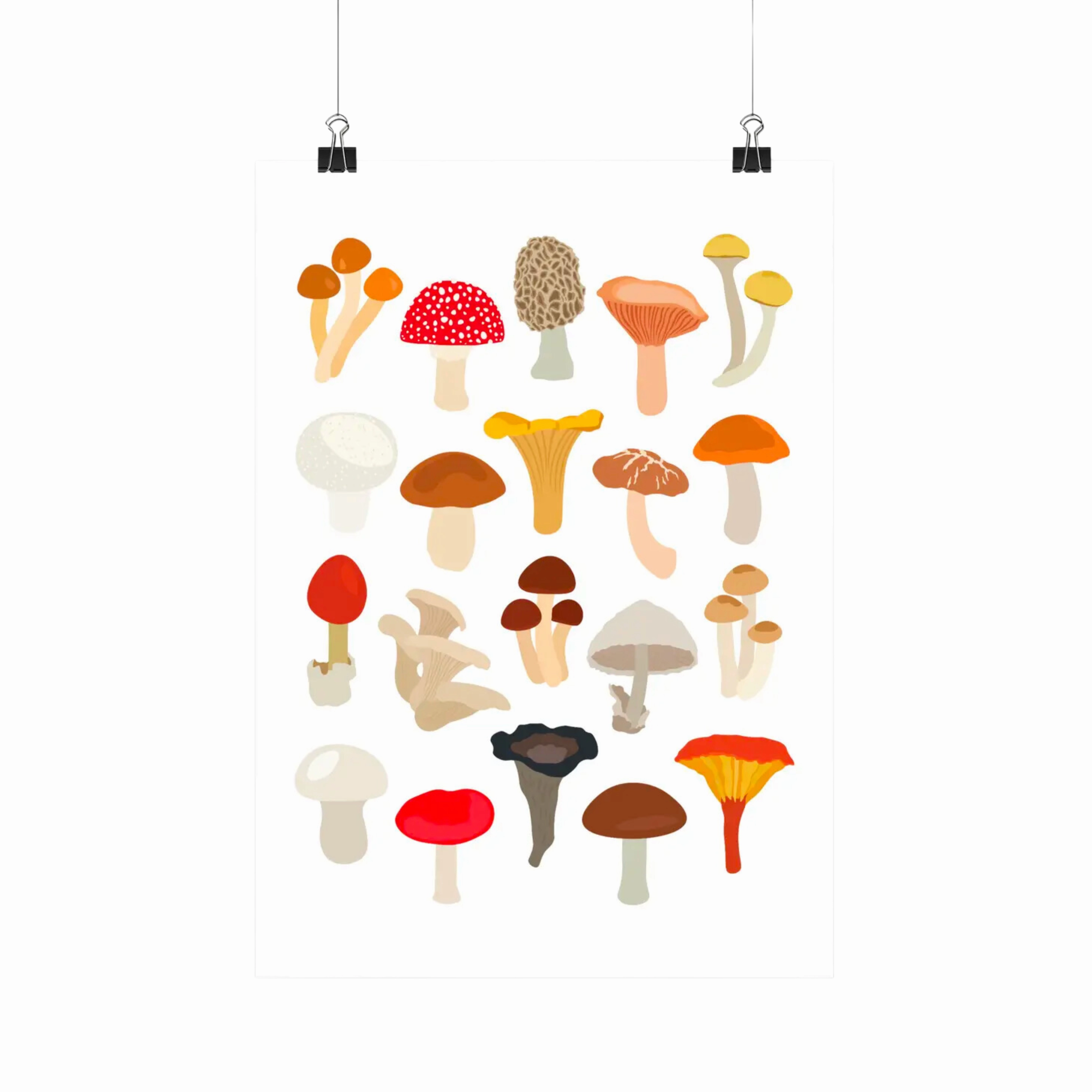 Mushrooms Species - Botanical Fungi Art Print framed wall decor