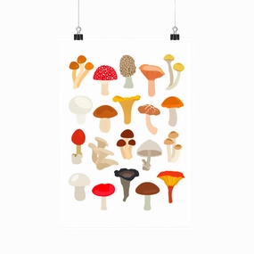 Mushrooms Species - Botanical Fungi Art Print framed wall decor