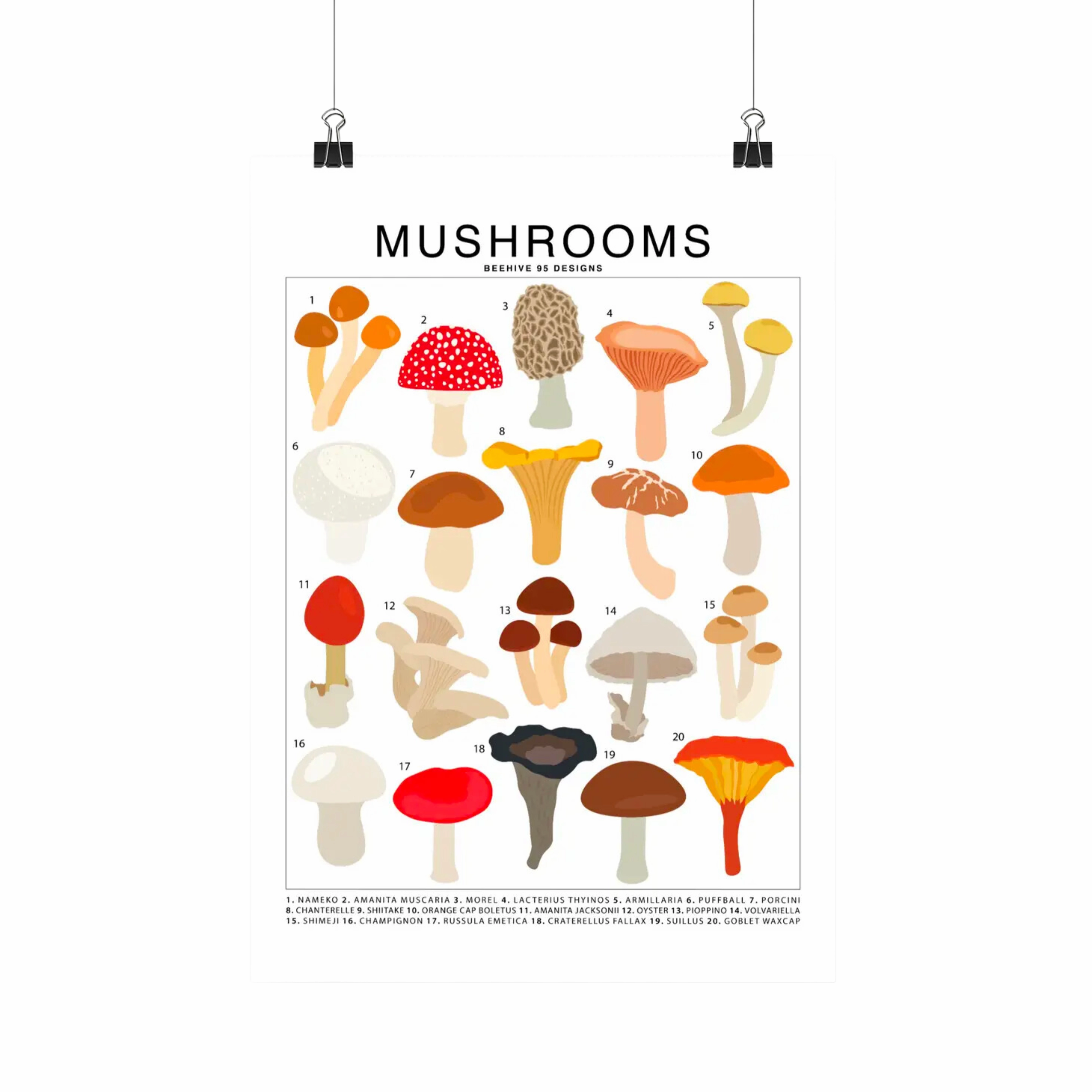 Mushrooms Species Id Chart - Botanical Fungi Art Print framed wall decor