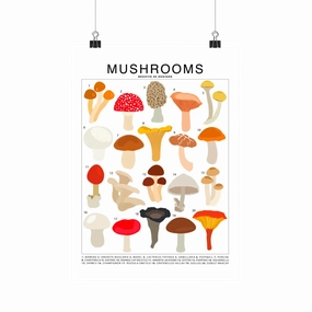 Mushrooms Species Id Chart - Botanical Fungi Art Print framed wall decor