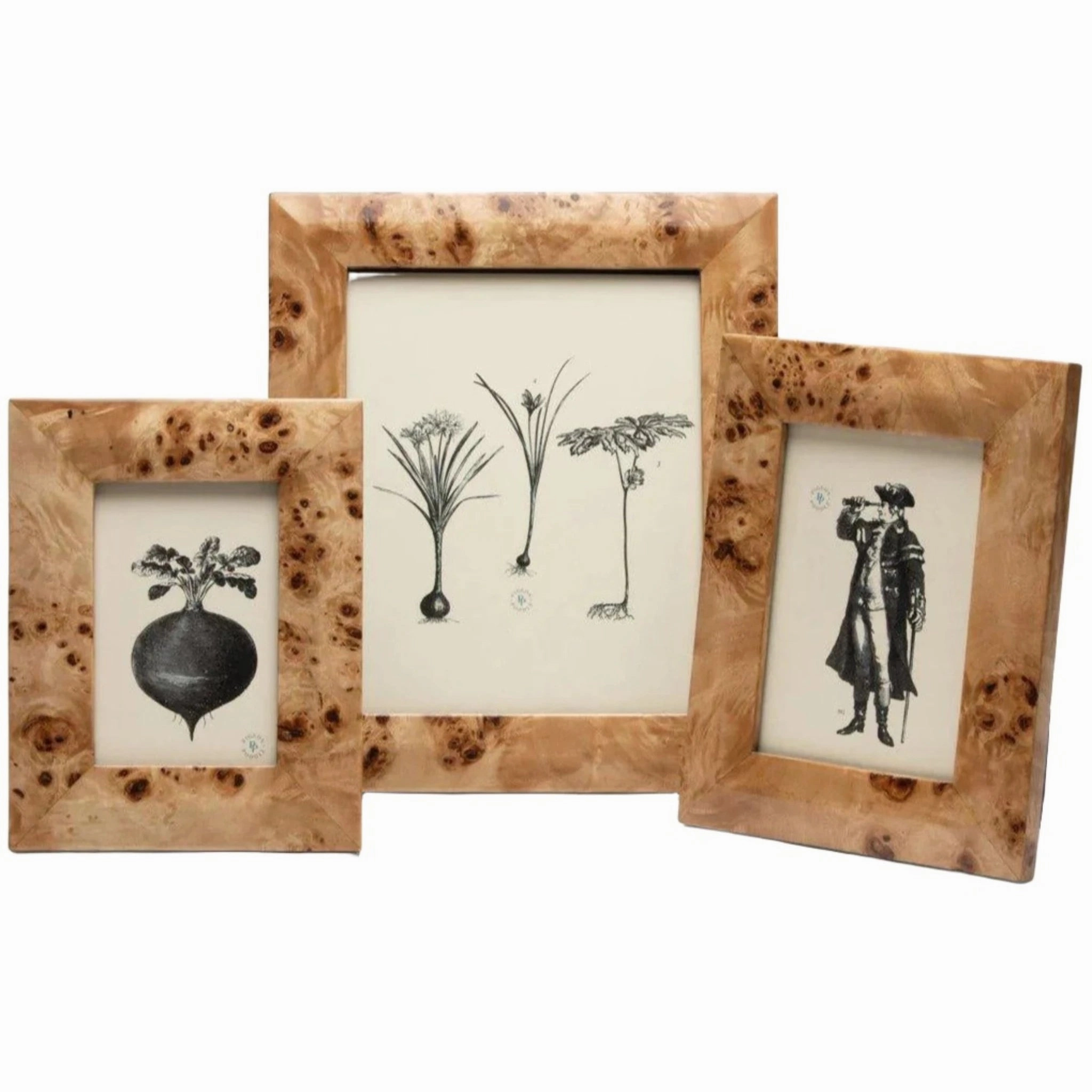 Narvik Rich Burl Maple Wood Veneer Frame in Two Different Colors home display ornament