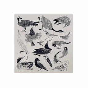 New England Birds Print framed wall decor