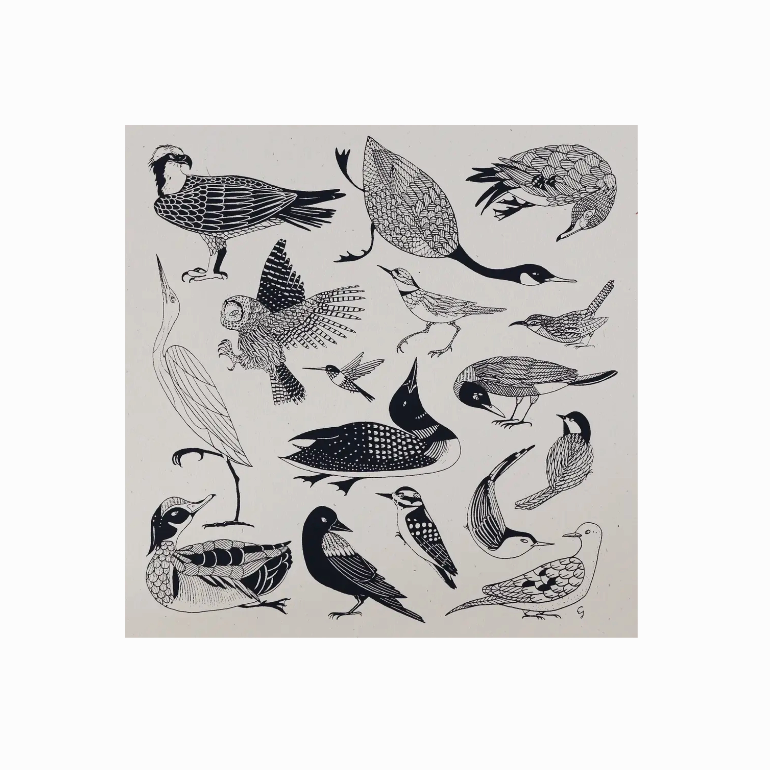 New England Birds Print framed wall decor