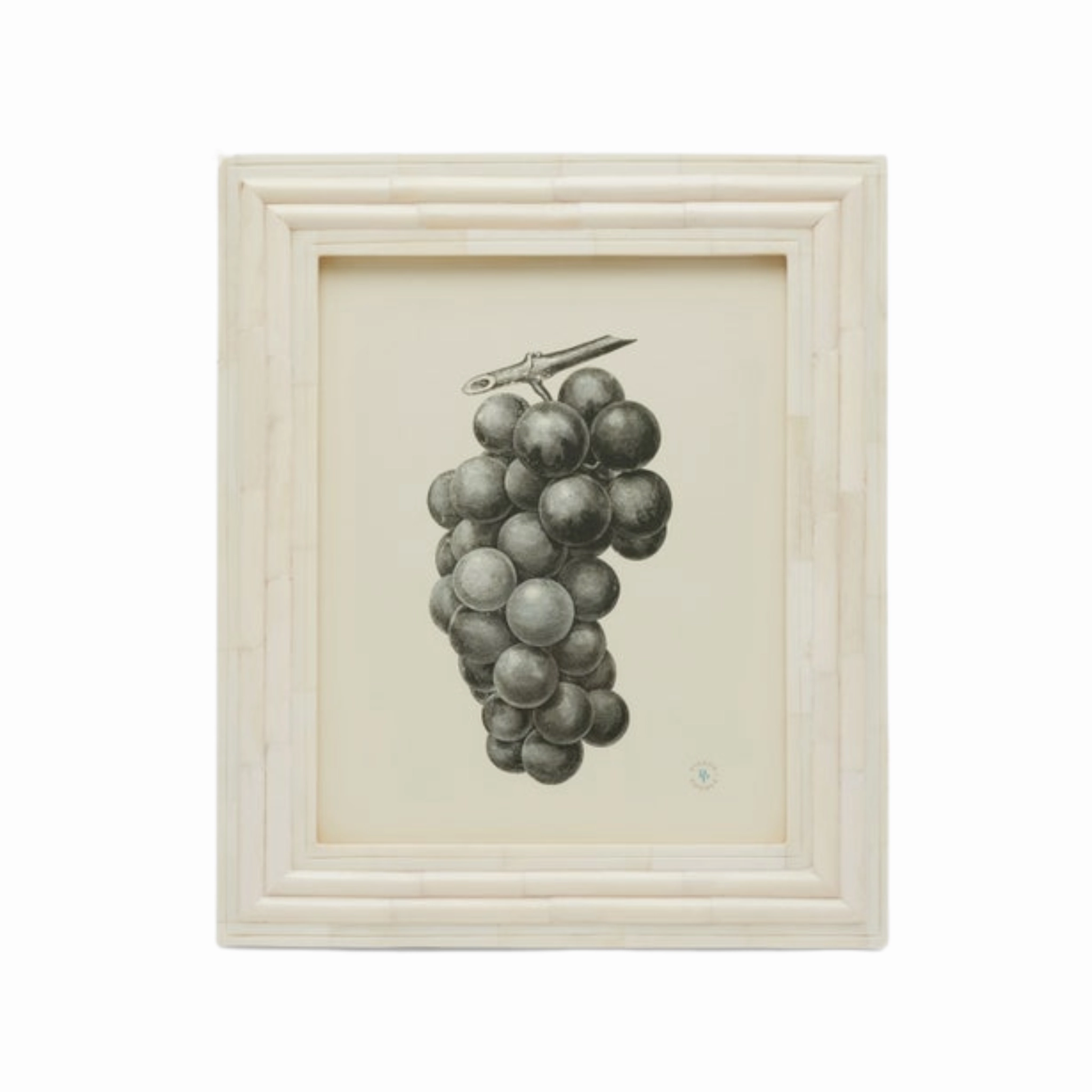 Novara Natural Bone Picture Frame