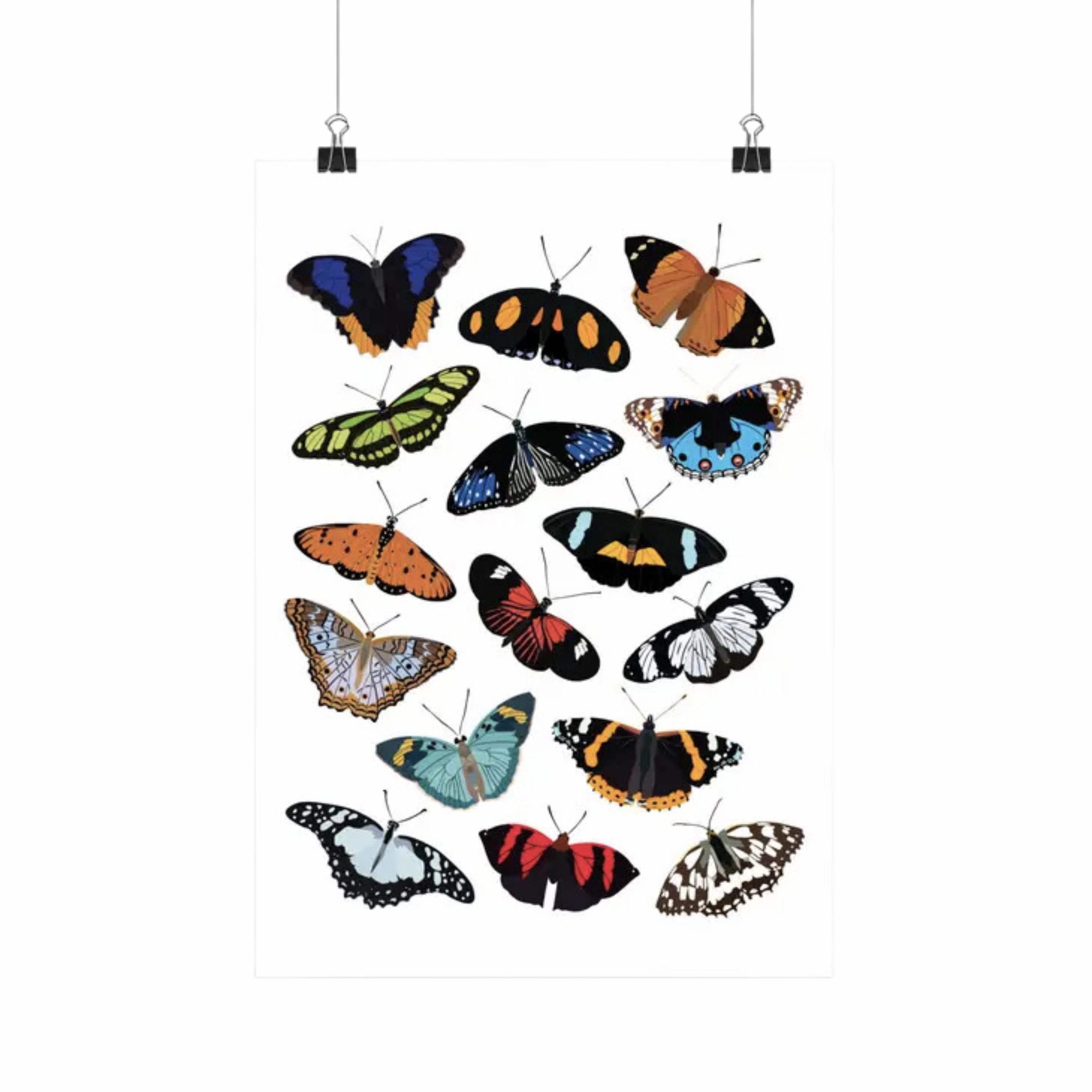 Nymphalidae (Butterfly) Species Insects Art Print framed wall decor