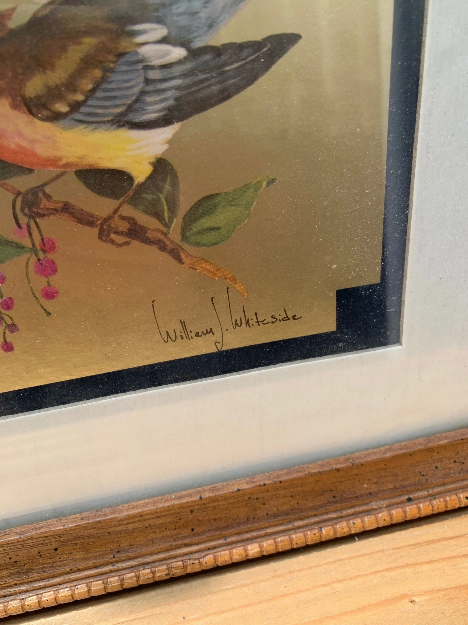OIL PAINTING OF BIRDS BY WILLIAM WHITESIDE