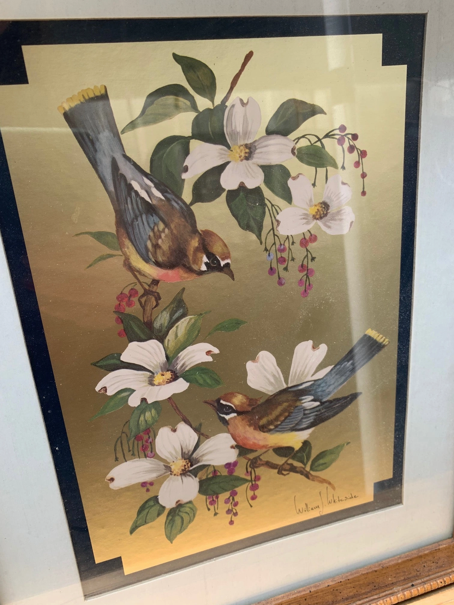 OIL PAINTING OF BIRDS BY WILLIAM WHITESIDE