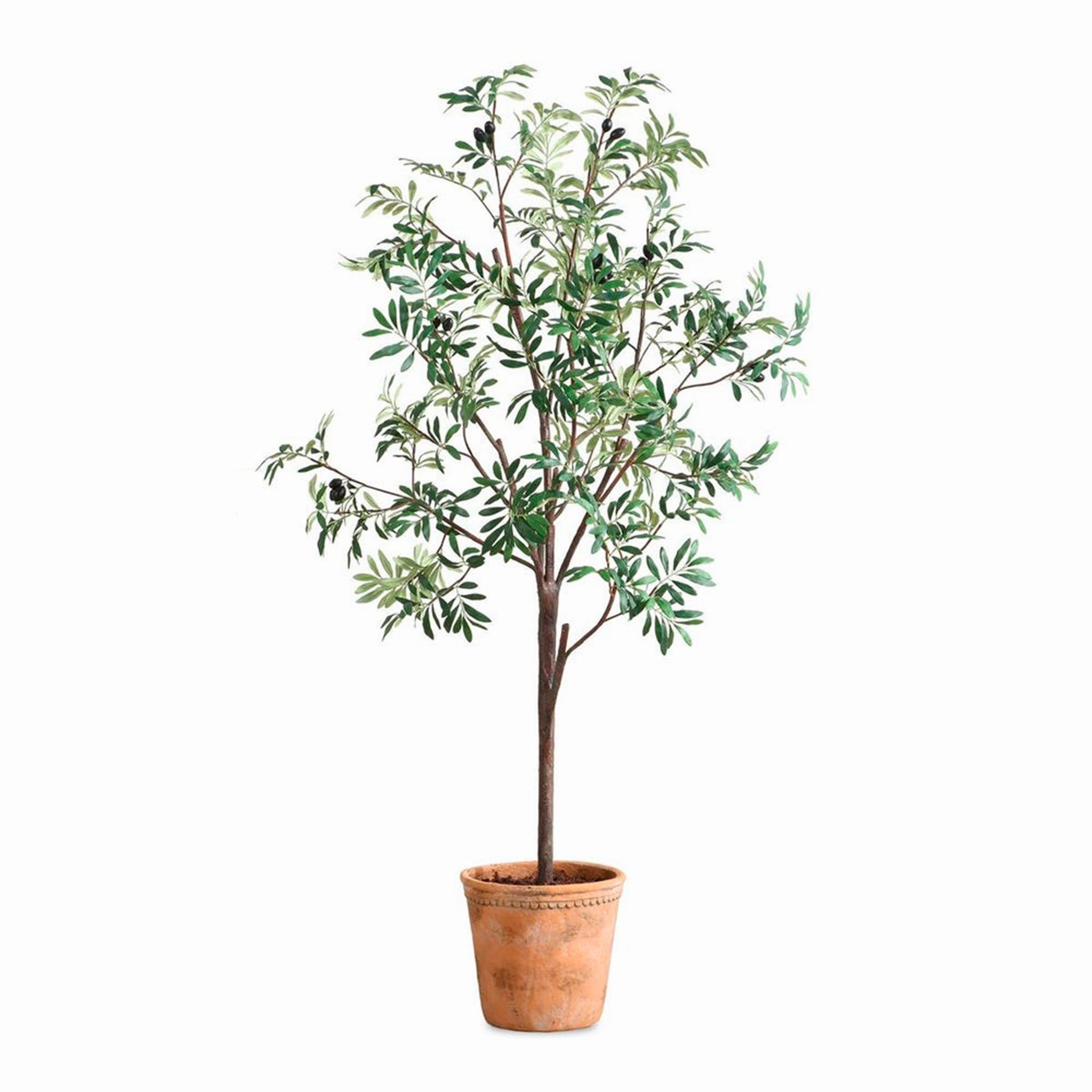 Olea Potted Olive home display ornament