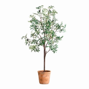 Olea Potted Olive home display ornament