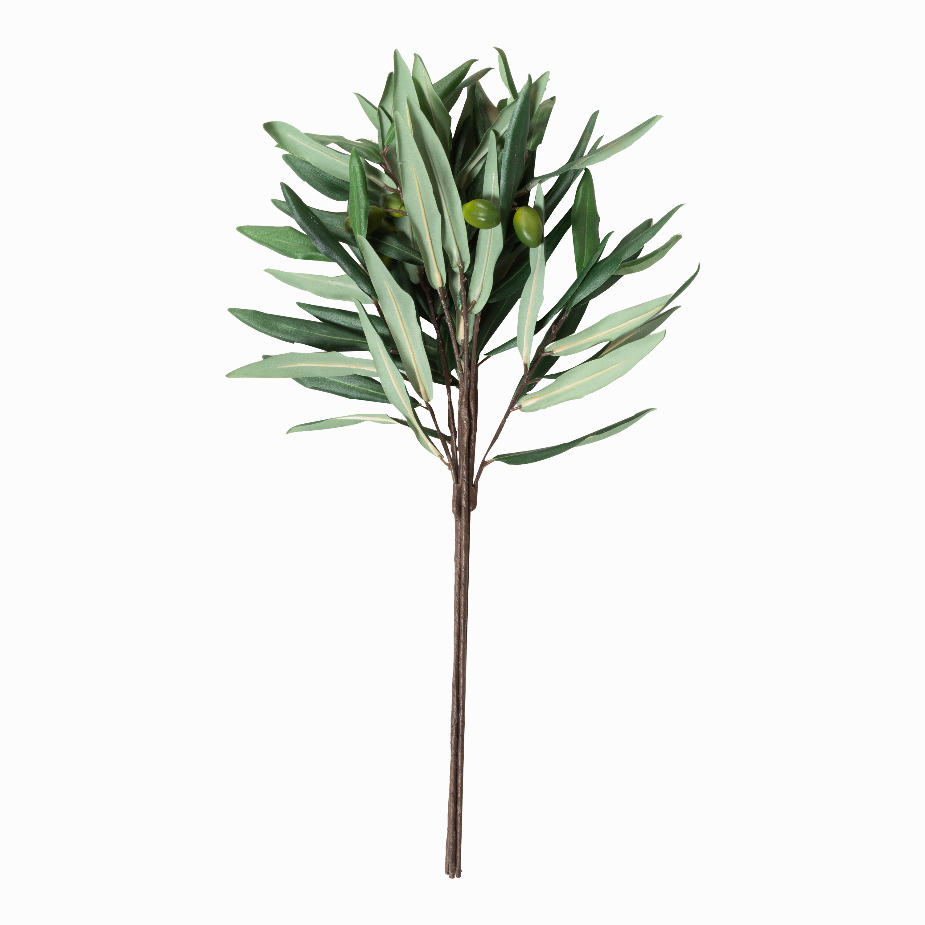 Olive Branch elegant wall decor