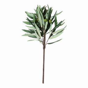 Olive Branch elegant wall decor