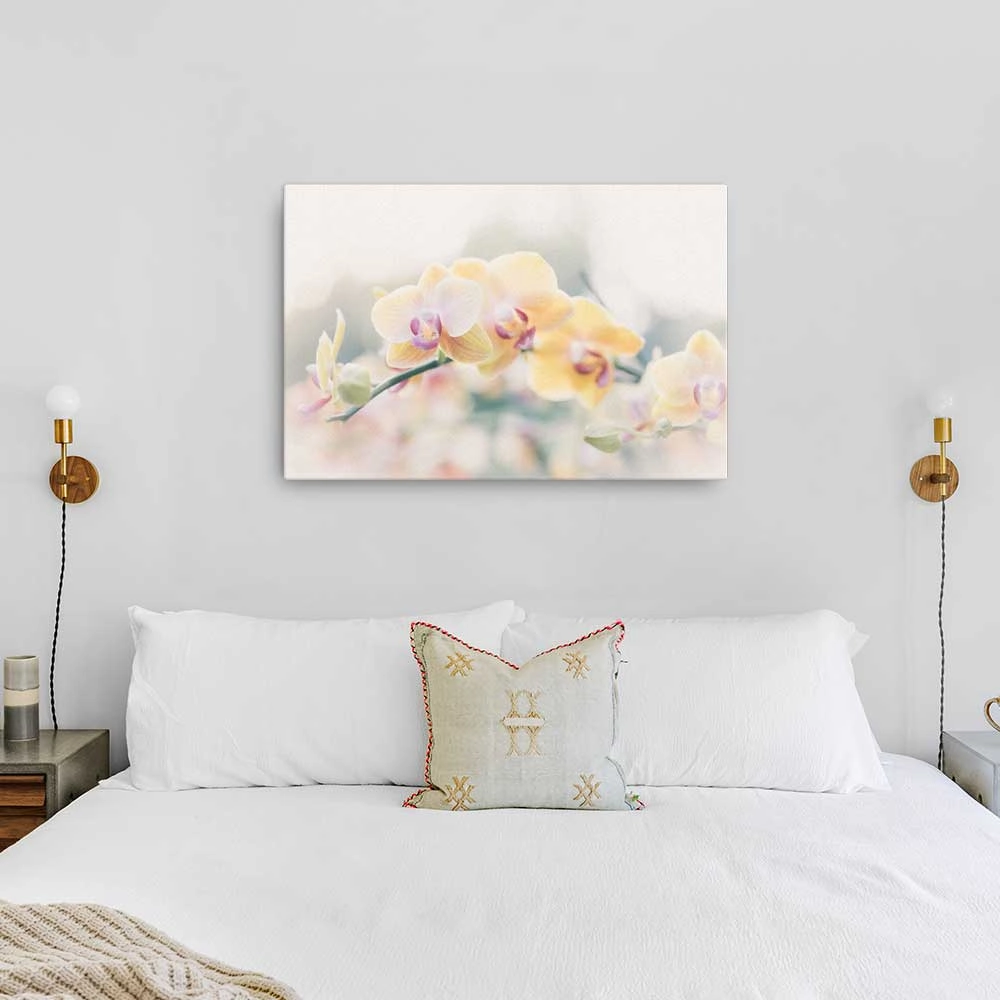 Orchid 01 - canvas