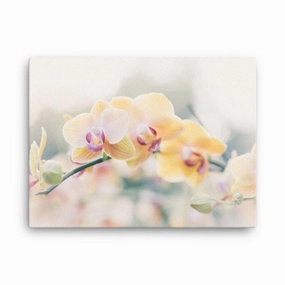 Orchid 01 - canvas canvas mural art