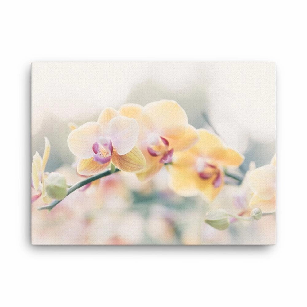 Orchid 01 - canvas canvas mural art
