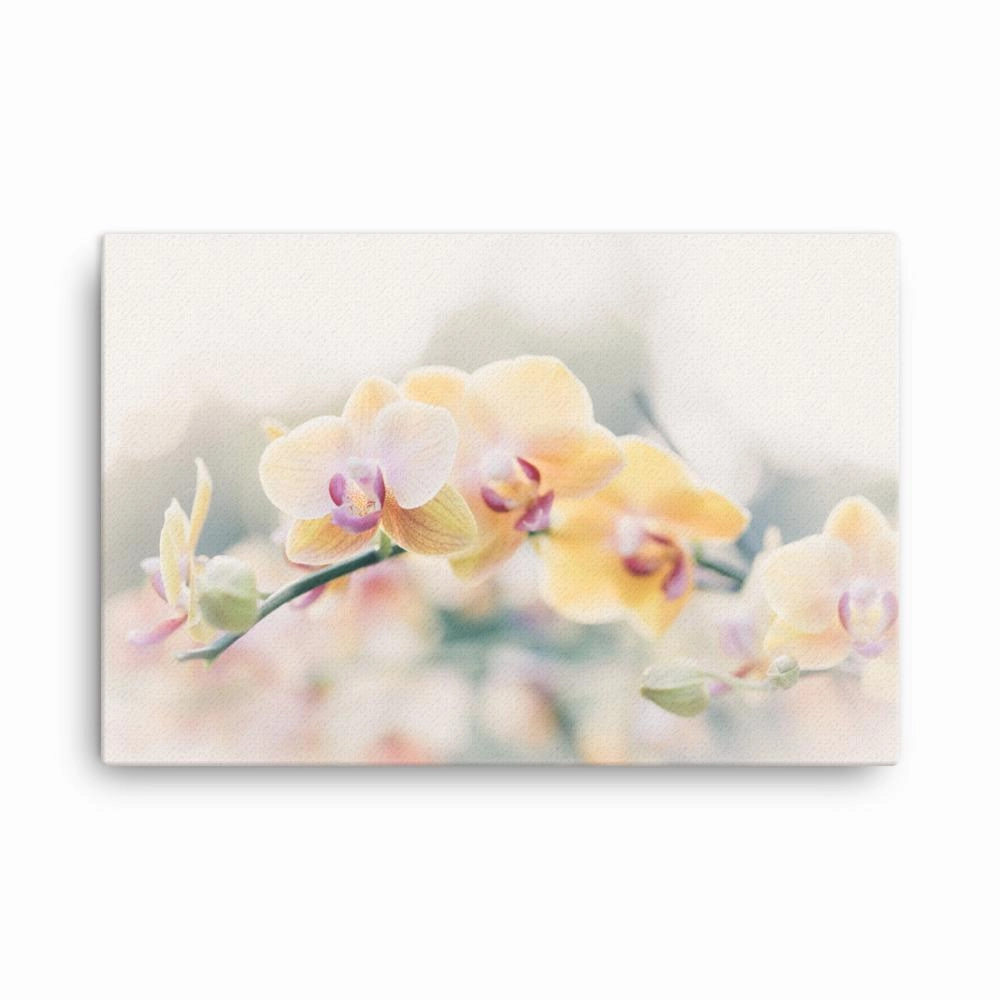 Orchid 01 - canvas