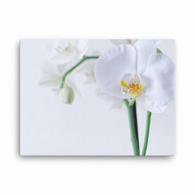 Orchid 03 - canvas canvas mural art