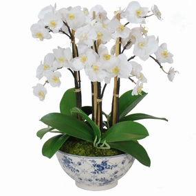 Orchid Arrangement in Rose Trellis Bowl home display ornament