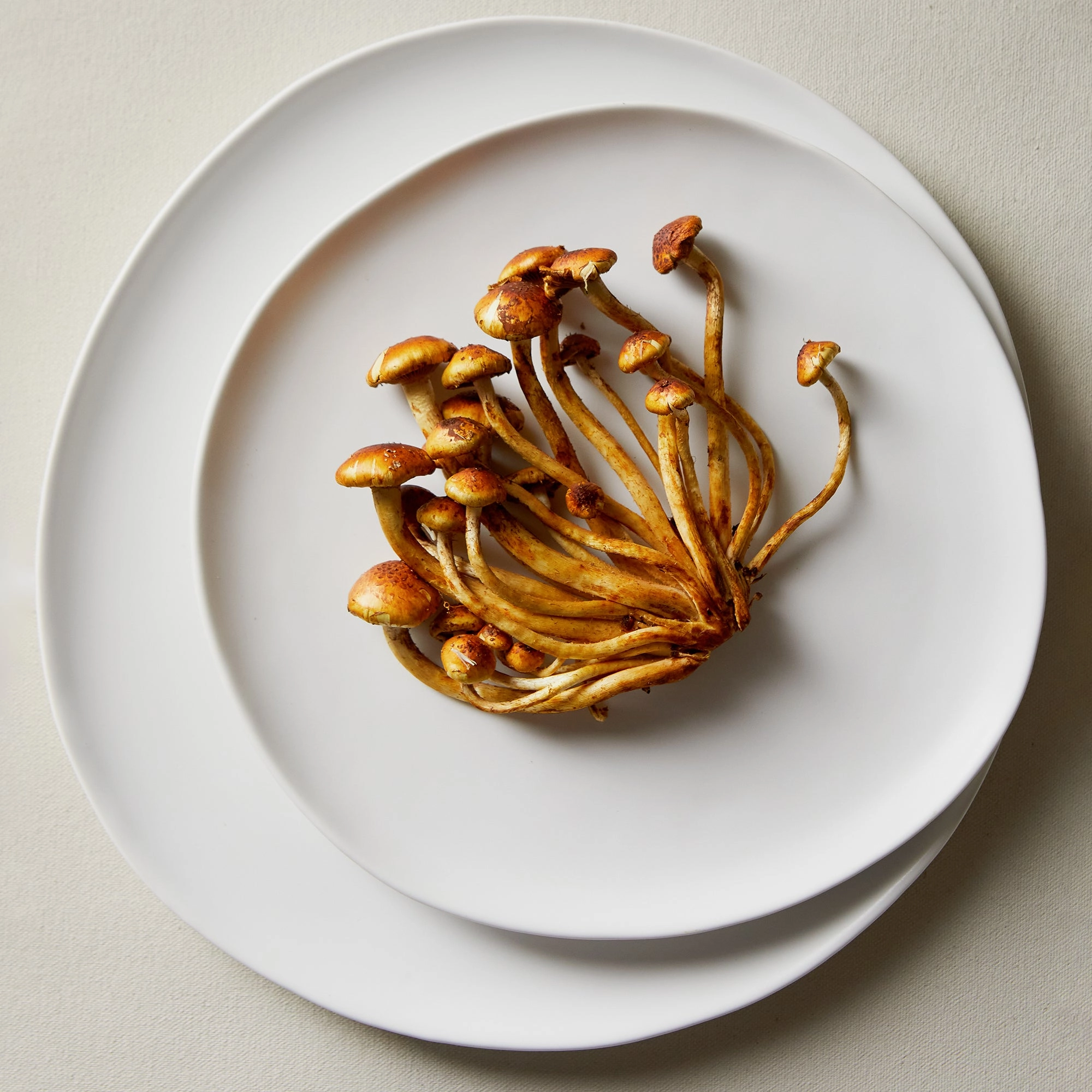 Organic Dinnerware Collection