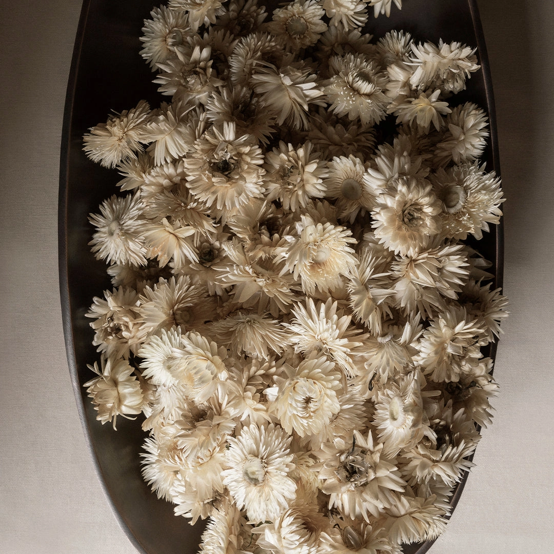 Pavot Centerpiece