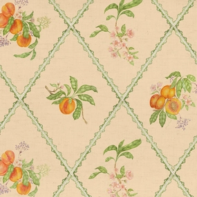 Peach Trellis Printed Cotton Fabric Melba elegant table cloth  