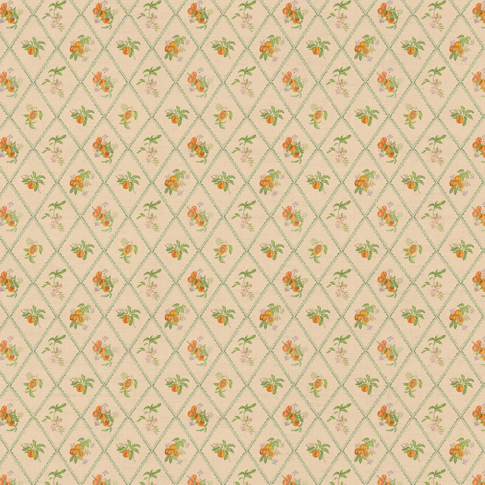 Peach Trellis Printed Cotton Fabric Melba