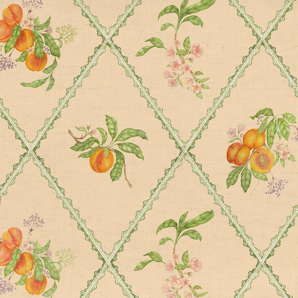 Peach Trellis Printed Cotton Fabric Melba elegant table cloth  