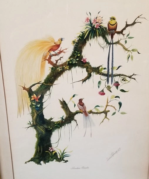 PENCIL DRAWING WITH WATERCOLOR BIRDS OF PARADISE BY D'MARCO