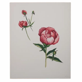 Peonies 8x10 Print framed wall decor