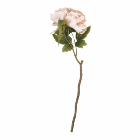 Peony Evening Dew Stem elegant wall decor