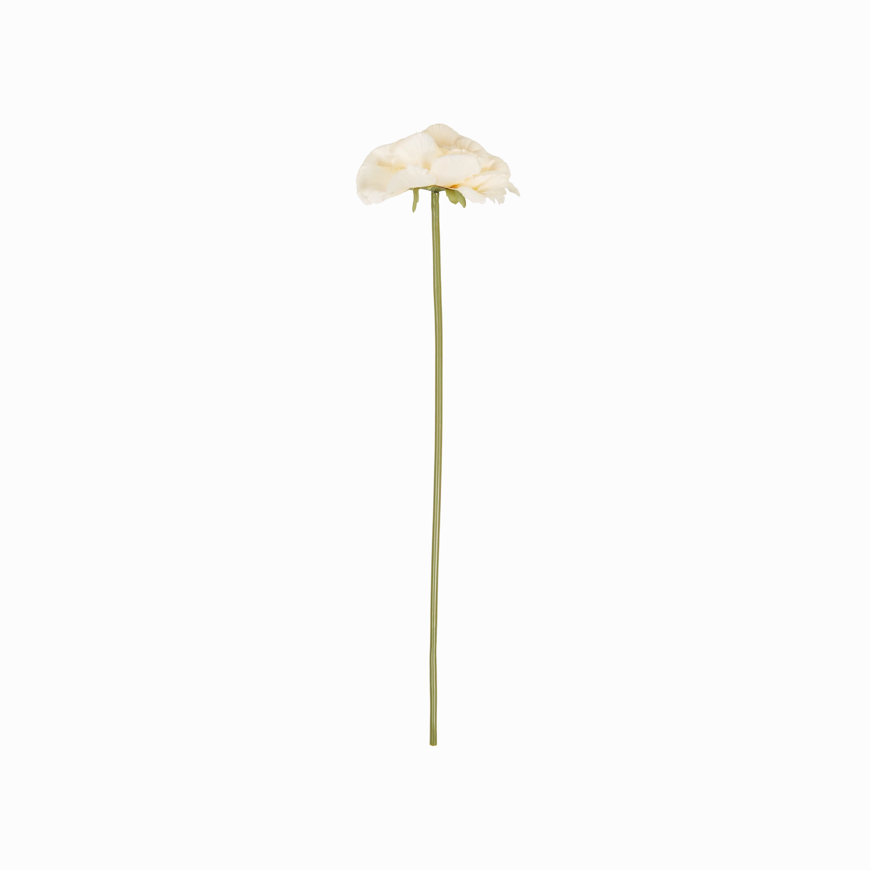 Peony Garden Stem elegant wall decor