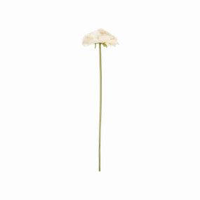 Peony Garden Stem elegant wall decor