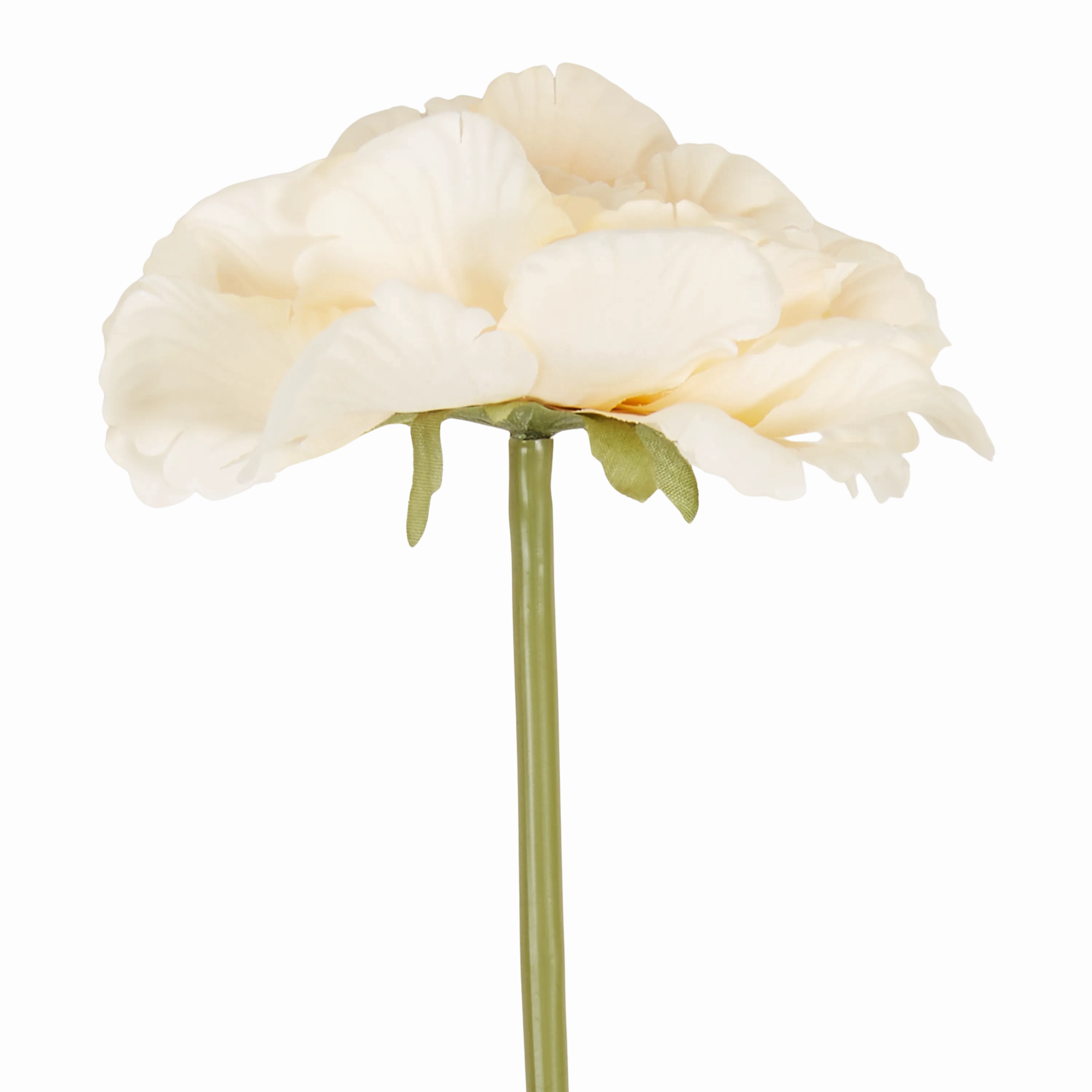 Peony Garden Stem