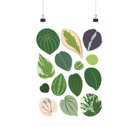 Peperomia Species - Botanical Houseplant Art Print framed wall decor
