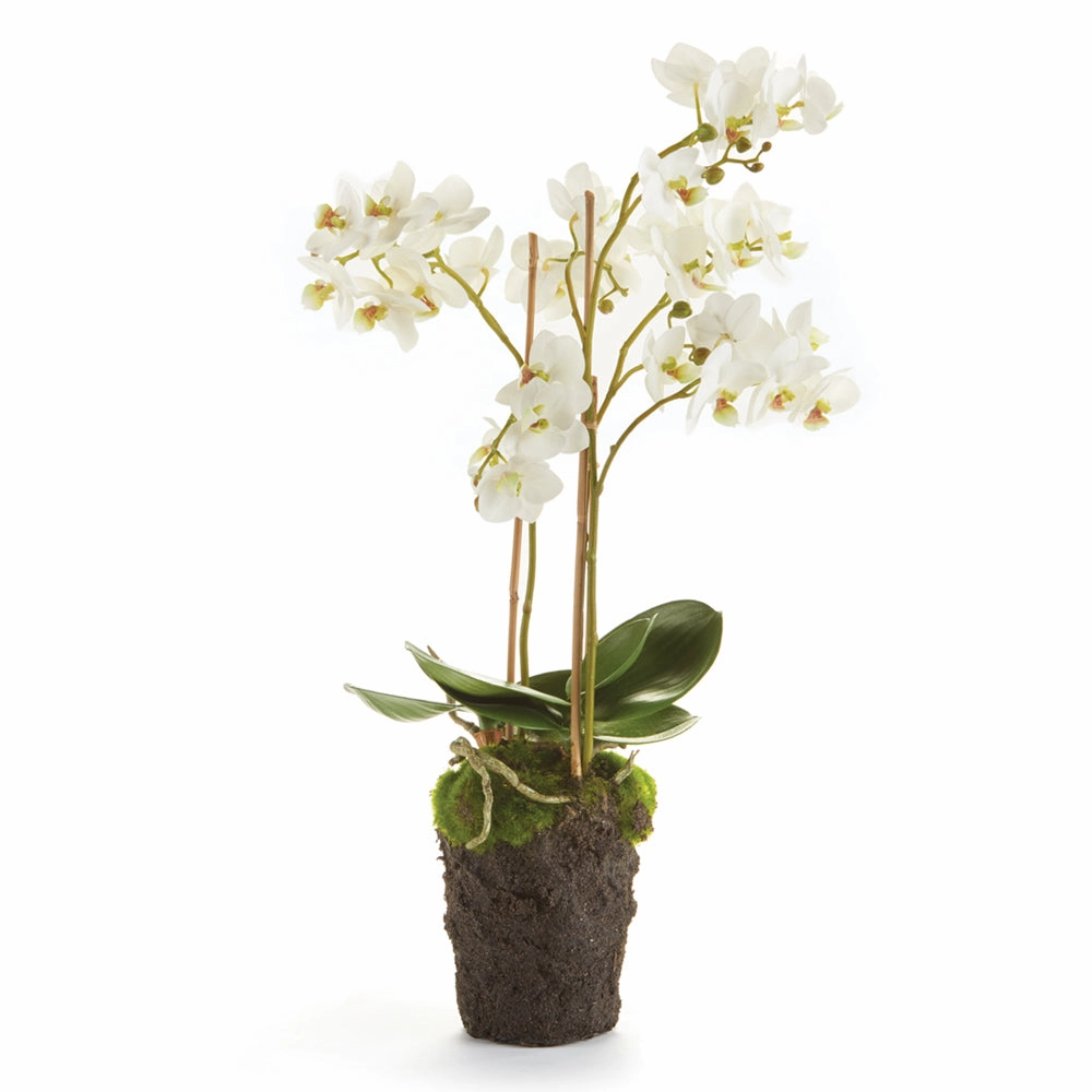 Phalaenopsis Faux Orchid Drop-In home display ornament