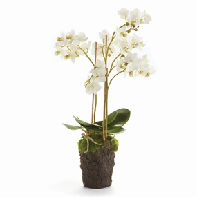 Phalaenopsis Faux Orchid Drop-In home display ornament