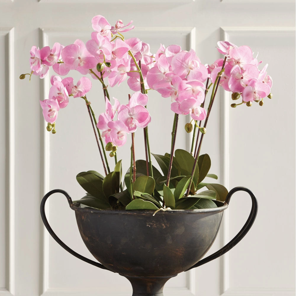 Phalaenopsis Faux Pink Orchid Drop-In