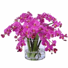 Phalaenopsis Orchid Arrangement in Clear Glass Container home display ornament
