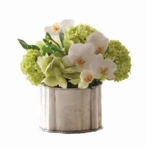 Phalaenopsis Snowball in Caddy home display ornament